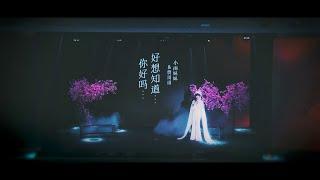 好想知道你好吗  演唱 锺洁希 & 贾哥哥 Jessie Chung, Justin Leong - Let Me Know How're You Doing