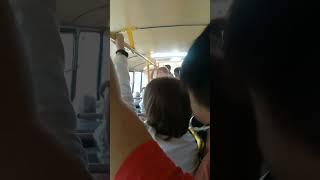 134 маршрут - перевозчик не виноват