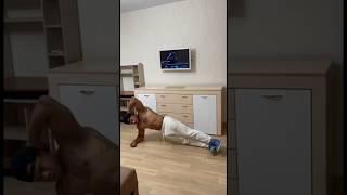 проработка пресса и косых мышц #спорт #sport #larrysport #тренер #гуру #врач #видео #упражнения