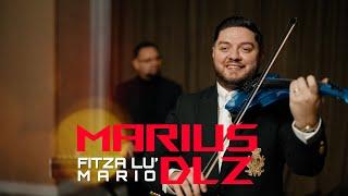 Marius de la Zalau - Fitza lu' Mario