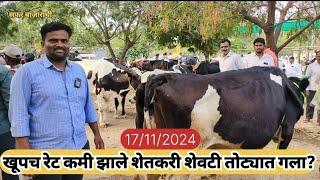 सुप्रसिद्ध गाय बजार||Cow Market in maharatra