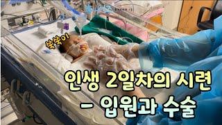 아빠로그 | 내가 대신 아팠으면… 삼성서울병원 신생아중환자실/밀폐항문/쇄항