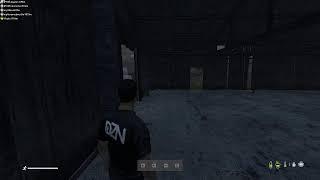 DayZ  საგიჟეთი