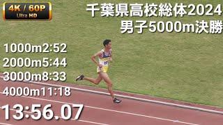 男子5000m決勝 2024千葉県高校総体