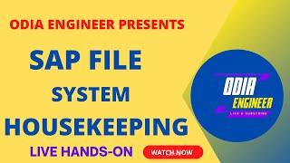 SAP Filesystem Housekeeping | SAP BASIS | Linux | Application File System cleanup @odia_engineer