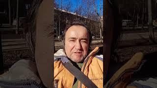 моим маленьким аленеватым друзьям посвящается
