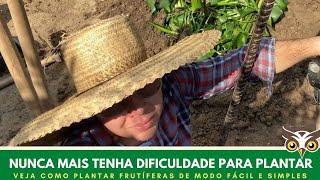 COMO PLANTAR ARVORE FRUTÍFERA EM CHÁCARAS, SÍTIO,NO QUINTAL DE CASA EM VASOS MÉTODO 100% SUSTENTÁVEL