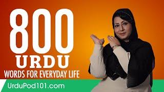 800 Urdu Words for Everyday Life - Basic Vocabulary #40