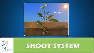 SHOOT SYSTEM