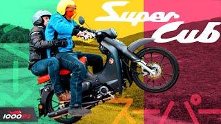 Reicht die Zuladung? Honda Super Cub C125 Test 2022