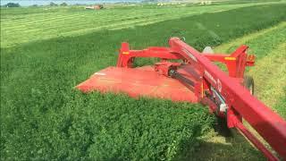 First cut hay 2018