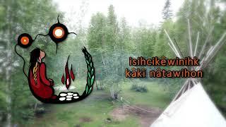 First Peoples Child & Family Review 17(1): isihcikêwinihk kâkî nâtawihon