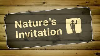 "Nature's Invitation" Trailer | A Documentary by Brandy Yanchyk