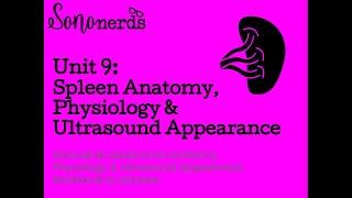 Spleen Anatomy | Physiology | Ultrasoun Appearance with Sononerds