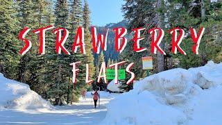 Cross-Country Skiing at Strawberry Flats | Manning Park | Feat. Neffex Songs | A Year Ago | Believe