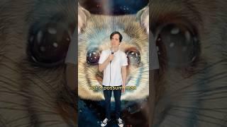 The truth about possums #comedy #music #funny