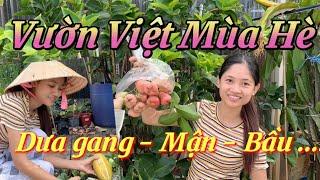 #90 Vườn rau sau nhà của người việt ở Úc  / Chia sẻ làm vườn