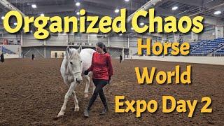 Organized Chaos at Horse World Expo Day 2 - teamwork makes dreams work