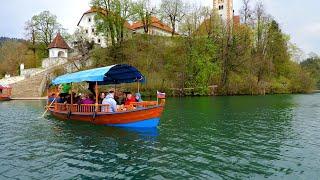 The Most Beautiful Landscape of Slovenia 2022 - Lake Bled - episode 7