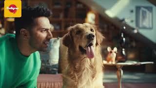 Pedigree India | 100% Complete and Balanced | With Varun Dhawan