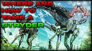 Genesis 2 | How to tame a Stryder
