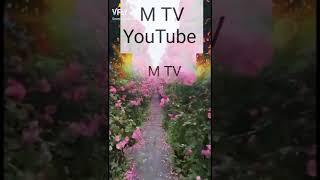 MTV YouTube channel