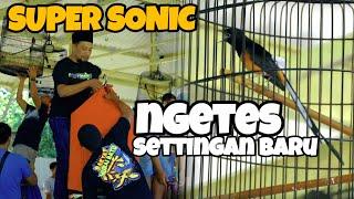 JADI PUSAT PERHATIAN‼️SUPER SONIC RUBAH SETTINGAN BARU