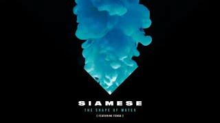 Siamese - The Shape of Water feat. ten56. (Official Visualizer)