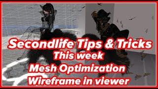 Secondlife Tips & Tricks - This week Mesh Optimization and wireframe in viewer