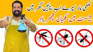 Ghar Se Makhiyan Bhagany Ka Asan Tarika | Get Rid Of Flies In Rainy Season | Hacks | BaBa Food RRC