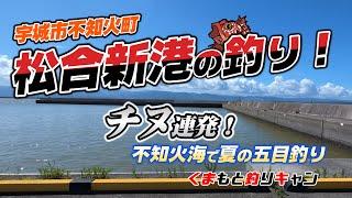 【宇城市不知火の松合新港の五目釣り】まさかのチヌ連発！上天草手前の遠浅の海の漁港で五目釣りをしたらチヌが乱舞する結果に！