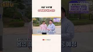 지금 '수지'를 주목해야 하는 이유