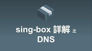 sing-box详解之DNS | 詳細講解sing-box配置文件和運行模式