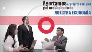 Video Institucional Optima Consulting - Versión Español