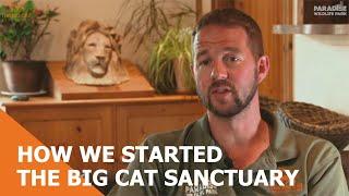 The Story of The Big Cat Sanctuary