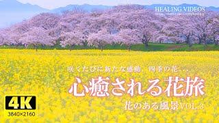 [Healing] A soothing flower trip | Enjoy the scenery with flowers VOL.3