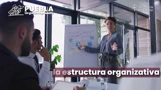 Formación de Emprendimientos Sociales 2024