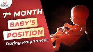 28 Weeks Pregnant Baby Position | 7th Month Baby Position In Womb | Mylo Family