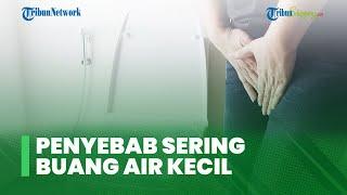 Hal-hal yang Dapat Menyebabkan Sering Buang Air Kecil dan Cara Mengatasinya