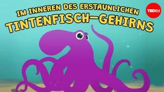 Was das Gehirn von Tintenfischen so außergewöhnlich macht – Cláudio L. Guerra