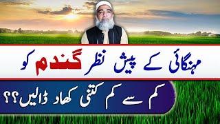 Minimum use of Fertilizer for Wheat Crop || Crop Reformer