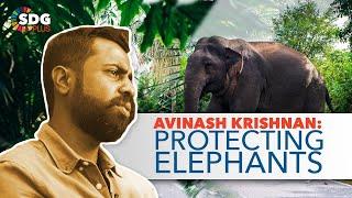 The Gardeners of the Forest: An Interview with Mr. Avinash Krishnan on Elephants