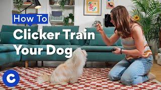 How To Clicker Train Your Dog