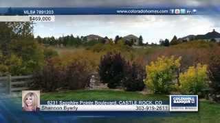 6231 Sapphire Pointe Boulevard  CASTLE ROCK, CO Homes for Sale | coloradohomes.com