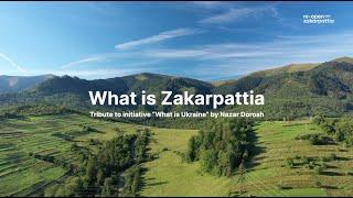 Re:Open Zakarpattia 2021_анонс