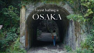 Quiet side of Osaka  Forest bathing in Minoh Park #shinrinyoku | Japan Vlog