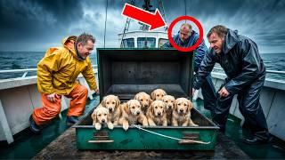 FISHERMEN NOTICED A COFFIN IN THE OPEN SEA, WITH 7 LIVE PUPPIES INSIDE, SOON AFTER...