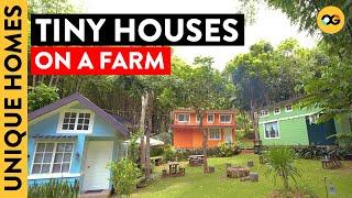 Explore These Vibrant and Cozy Tiny Houses on a Farm in Davao City | Unique Homes | OG