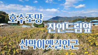 괴산토지매매/ 괴산의 명산 군자산 아래 위치한 토지 전원주택 별장지등으로 추천 멀리 호수가 조망되는 곳. 전원주택매매.농가주택매매.농막매매.괴산토지.괴산부동산.