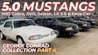 Are These The Best Fox Mustangs? '93 SVT Cobra, Saleen, 5.0 LX, SVO & Pace Car